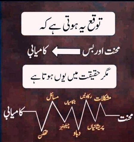 زندگی میں دنیا اور آخرت کی کامیابی کے لیے مسلسل جدوجہد کی ضرورت ہوتی ہے۔ بعض اوقات ناکامی سے منزل بہت دور لگتی ہے۔حالانکہ ناکامی بھی سیکھنے کا درس  دیتی ہے۔ سب سے پہلے اپنی زندگی کا مقصد، نصب العین اور منزل کا تعین سوچ سمجھ کرکرلیں۔ اس کے بعد اللہ سے تعلق و توکل اور صبرو استقامت کے ساتھ کوشش جاری رکھیں۔