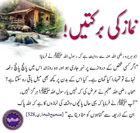 Islamic Quotes image