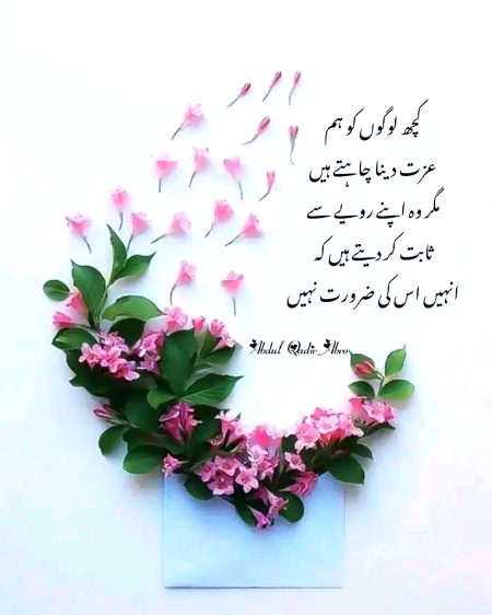 Attitude Quotes image