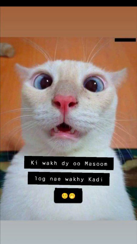 Daso...Kanj wakhdy NY 😏🙄🤭☺️
