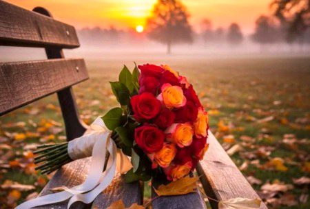 Beautiful Nature image