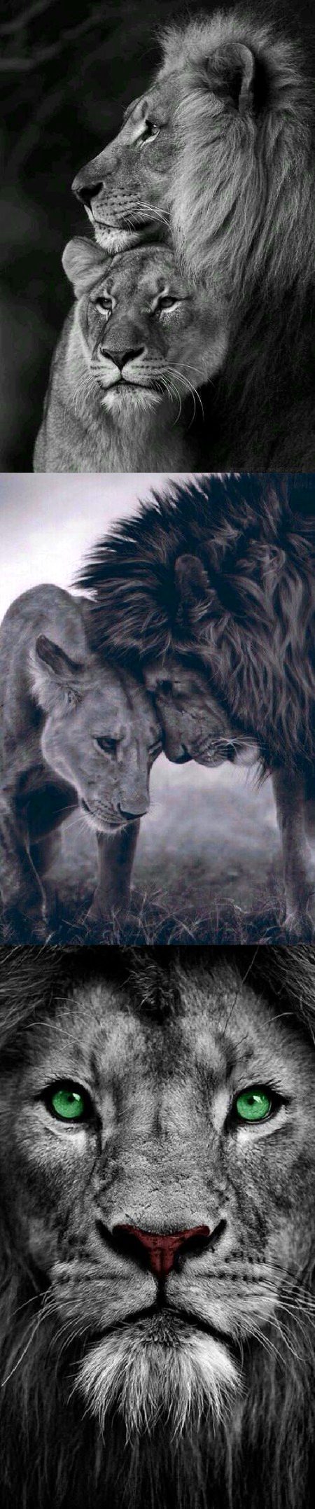 Beautiful Nature image