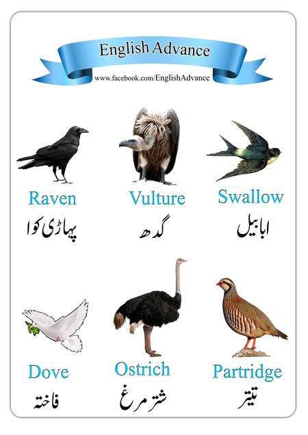 Tips for Students image