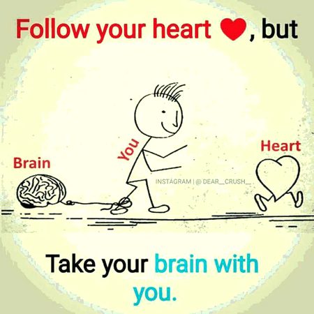 Life Advice image