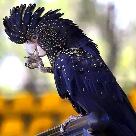 Beautiful Nature image