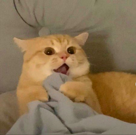 Beautiful Nature image