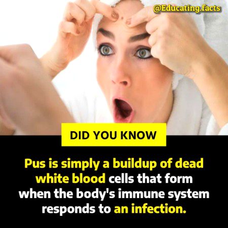 Interesting Posts image