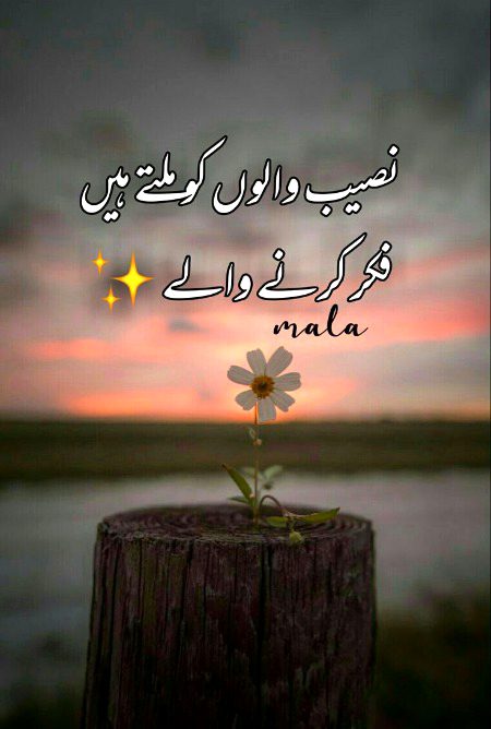 Jsa k m hu ap khush naseeb ho S ji