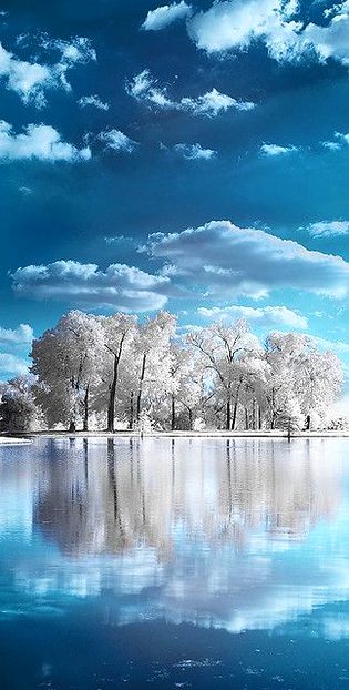 Beautiful Nature image