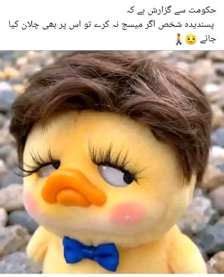 Memes & Satire image