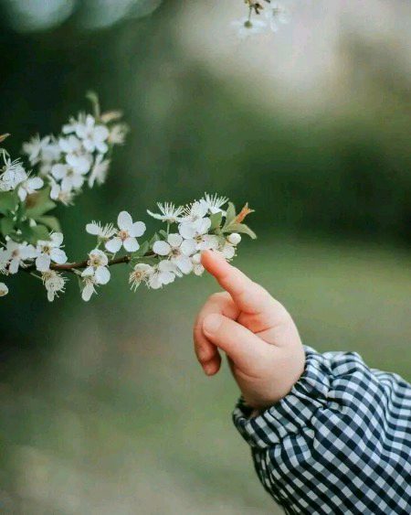 Beautiful Nature image