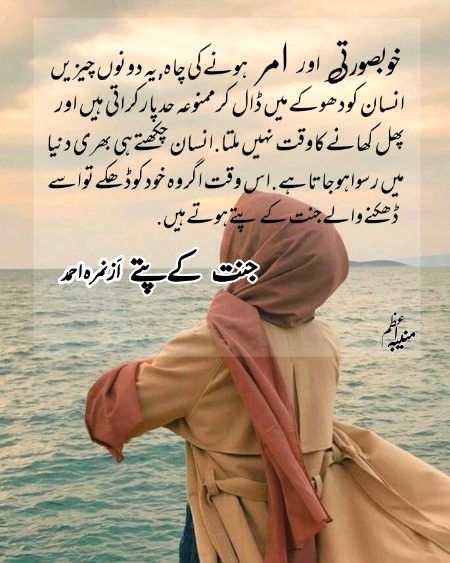 Romantic Novels image