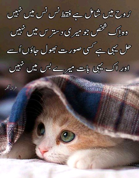 Sad Poetry image