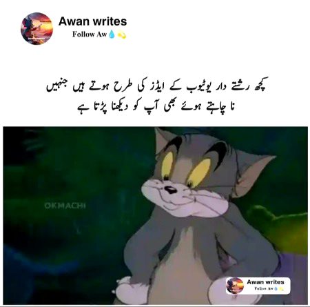 Memes & Satire image