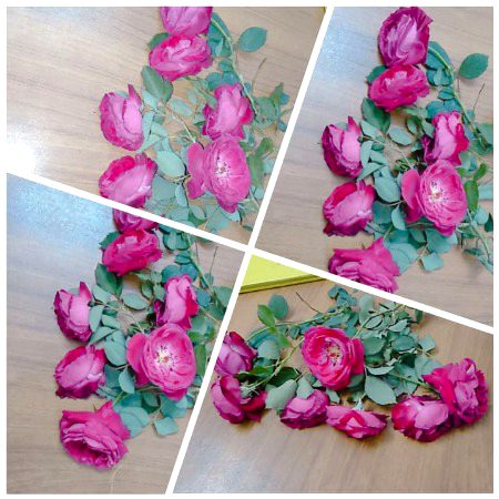 تم سے مل کر ہوا ہے معلوم یہ "جان" ہوتی ہے ورانے کے لئے۔۔۔!!