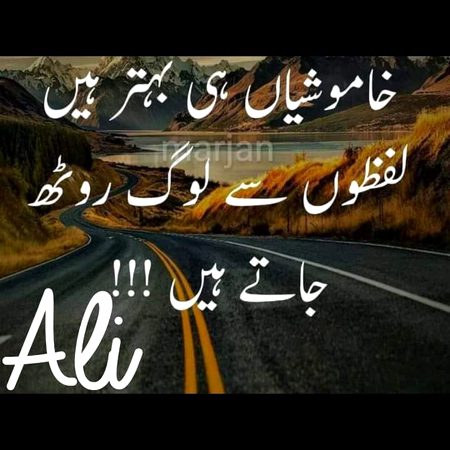 تیرے کہنے پہ چھوڑا ہے تجھے🔥
زمانے سے نہ کہنا بے وفا ہوں⚠️
💯〽