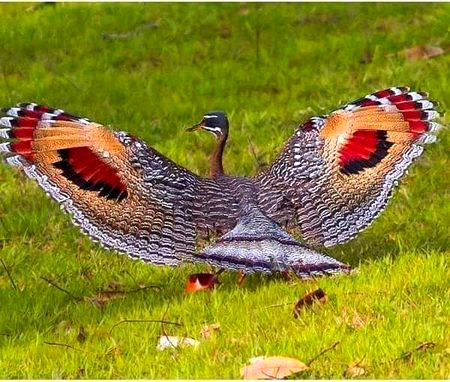 Beautiful Nature image