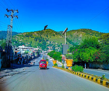 Beautiful Nature image