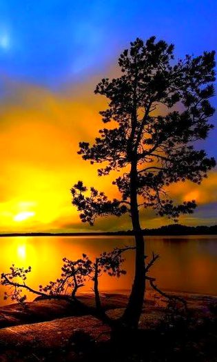 Beautiful Nature image