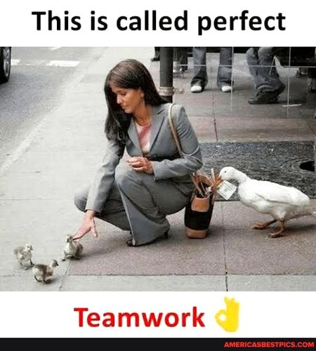 Memes & Satire image