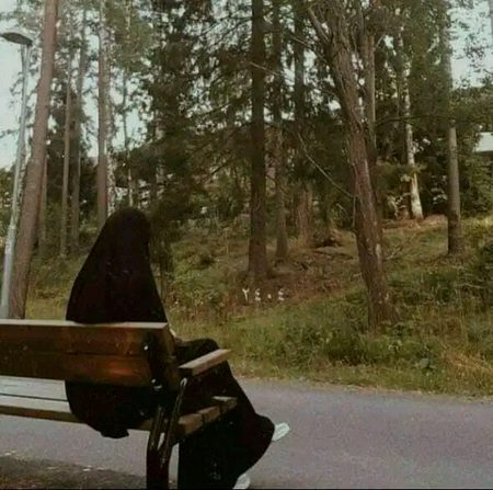 Beautiful Nature image