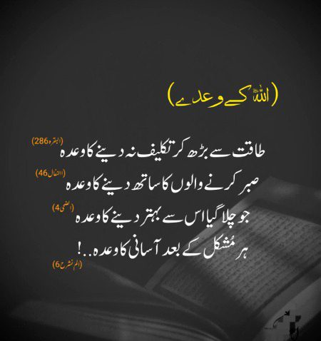 Islamic Quotes image