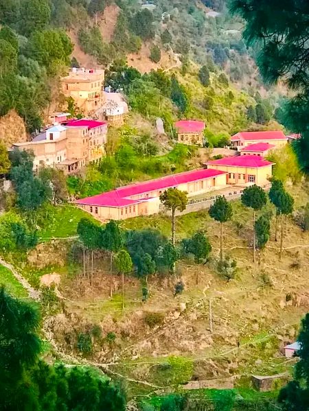 Beautiful Nature image