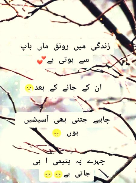 Allah pk sb k walden ko lmbi zndgi ata frmaye🤲or mery walden ki mghfrt frmye Aamin 😥🥀