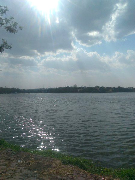 Beautiful Nature image