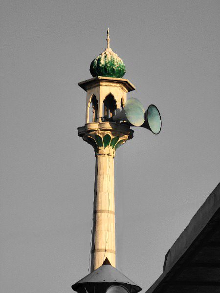 Last year captures✨️