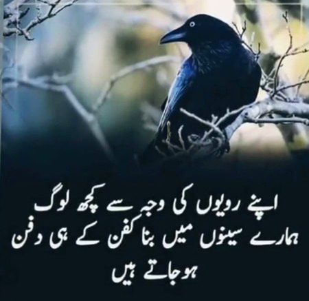 Un logon  ko psnd mat kryn or relationship ka mat sochyn..jo 2sron se relationship ka sochyn