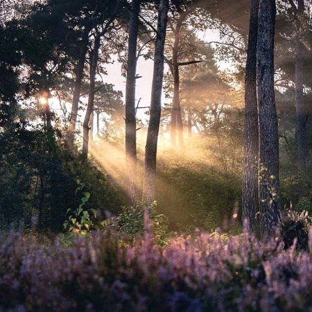Beautiful Nature image