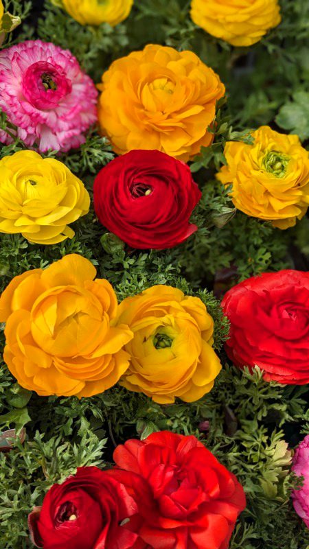 Beautiful Nature image