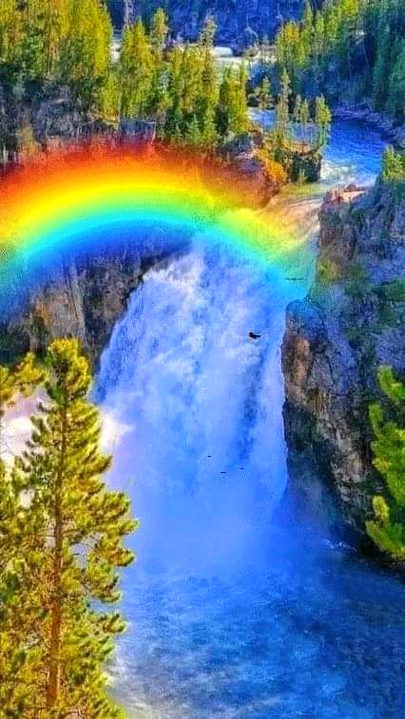 Beautiful Nature image