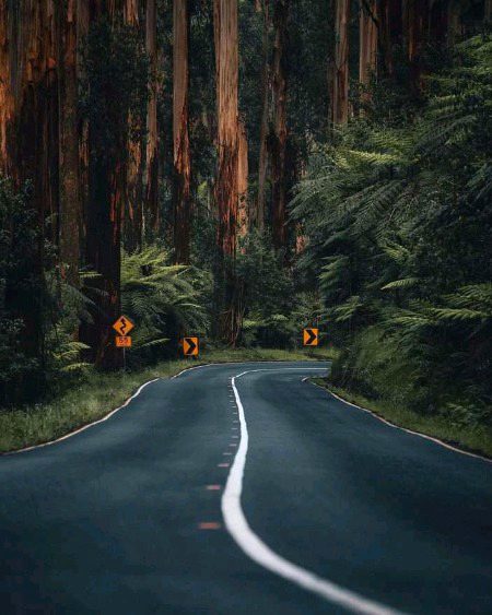 Beautiful Nature image