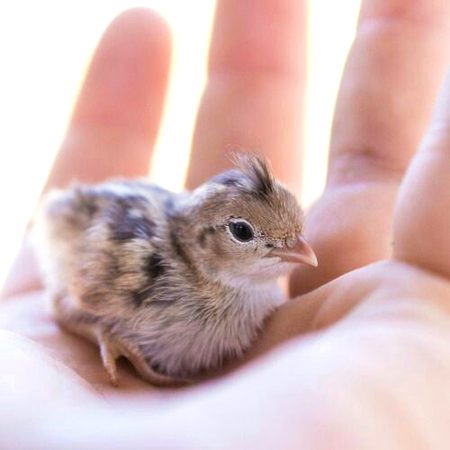 Beautiful Nature image