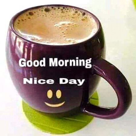 SWEET MORNING FRIENDS