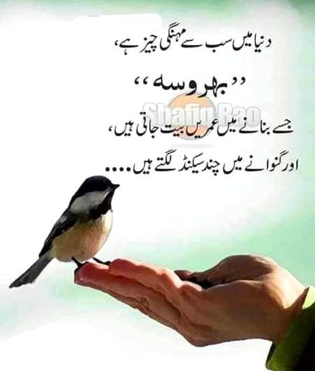 P0st by haya fatima