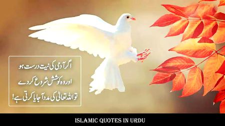 Islamic Quotes image