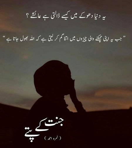 Romantic Novels image