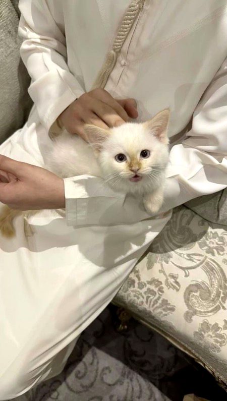 Beautiful Nature image