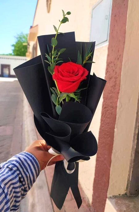 Beautiful Nature image