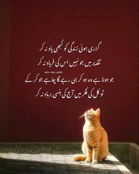 Motivational Quotes image