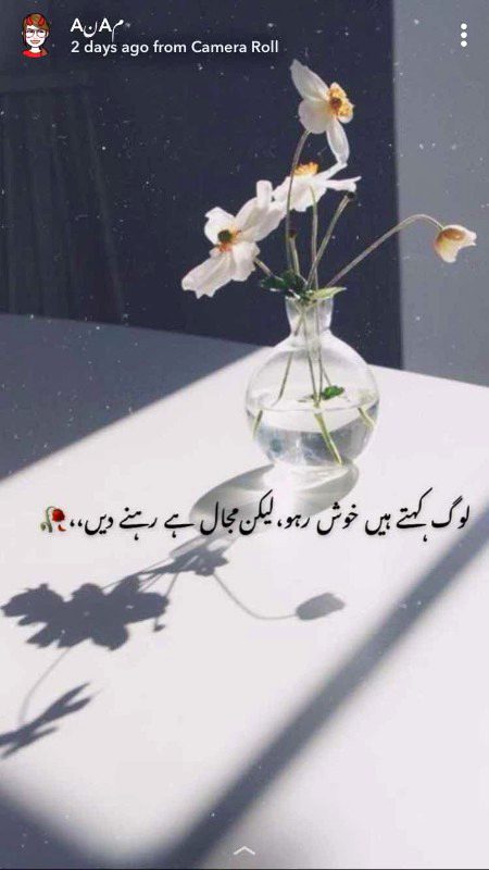 لوگ کہتے ہیں خوش رہو،لیکنمجال ہے رہنے دیں،،🥀