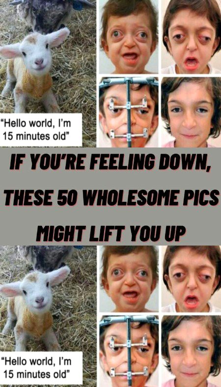 Memes & Satire image