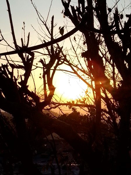 Beautiful Nature image