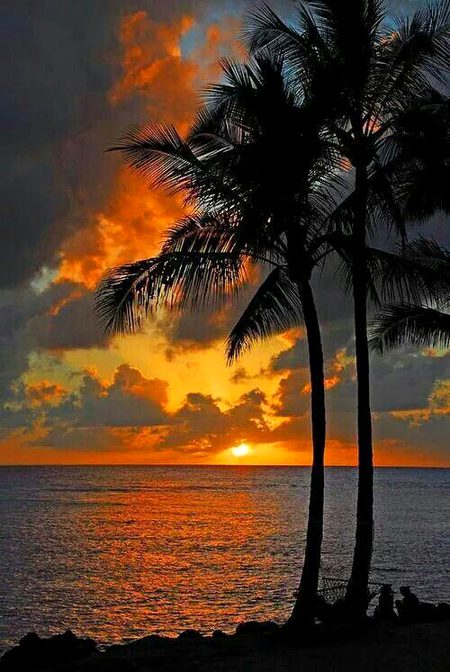 Beautiful Nature image