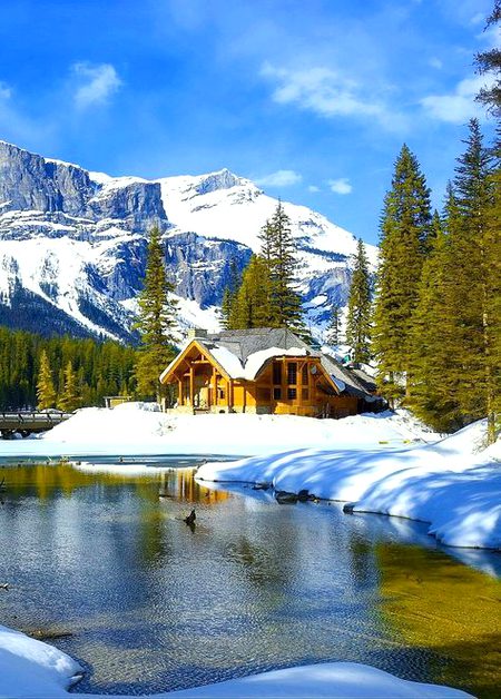 Beautiful Nature image