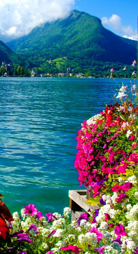 Beautiful Nature image