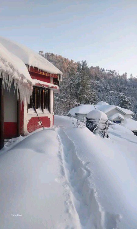 کشمیر میرے گھر کی صبح کا حسین منظر 🍁
#junoonefitrat 
#kashmirvalley 
#villagelife 
#kashmirbeauty 
#foryoupageシforyou